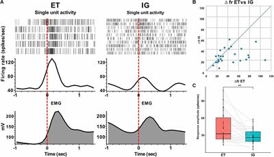 Attenuation of neural responses in subthalamic nucleus during internally guided voluntary movements in Parkinson’s disease